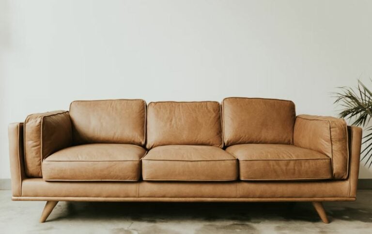 How to clean and Maintain Leather Sofa-An expert guide
