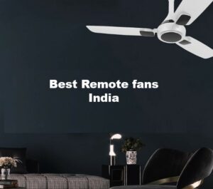 Best Remote Fans